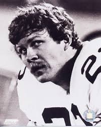 mike wagner steelers