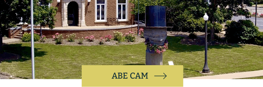 Abe Cam