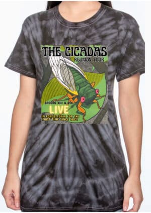Cicadas Reunion Tour Tie Dyed Rock Tee